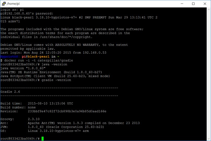 Docker on Raspberry Pi