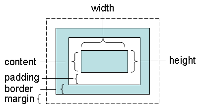 CSS Box Model